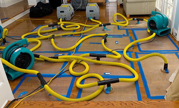 Professional Crawl Space Water Removal technician working in Cottonwood, ID